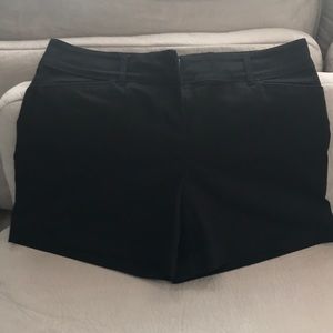 The Limited Shorts
